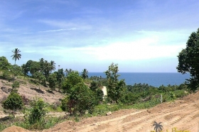 Land zu verkaufen auf koh phangan: haad tien