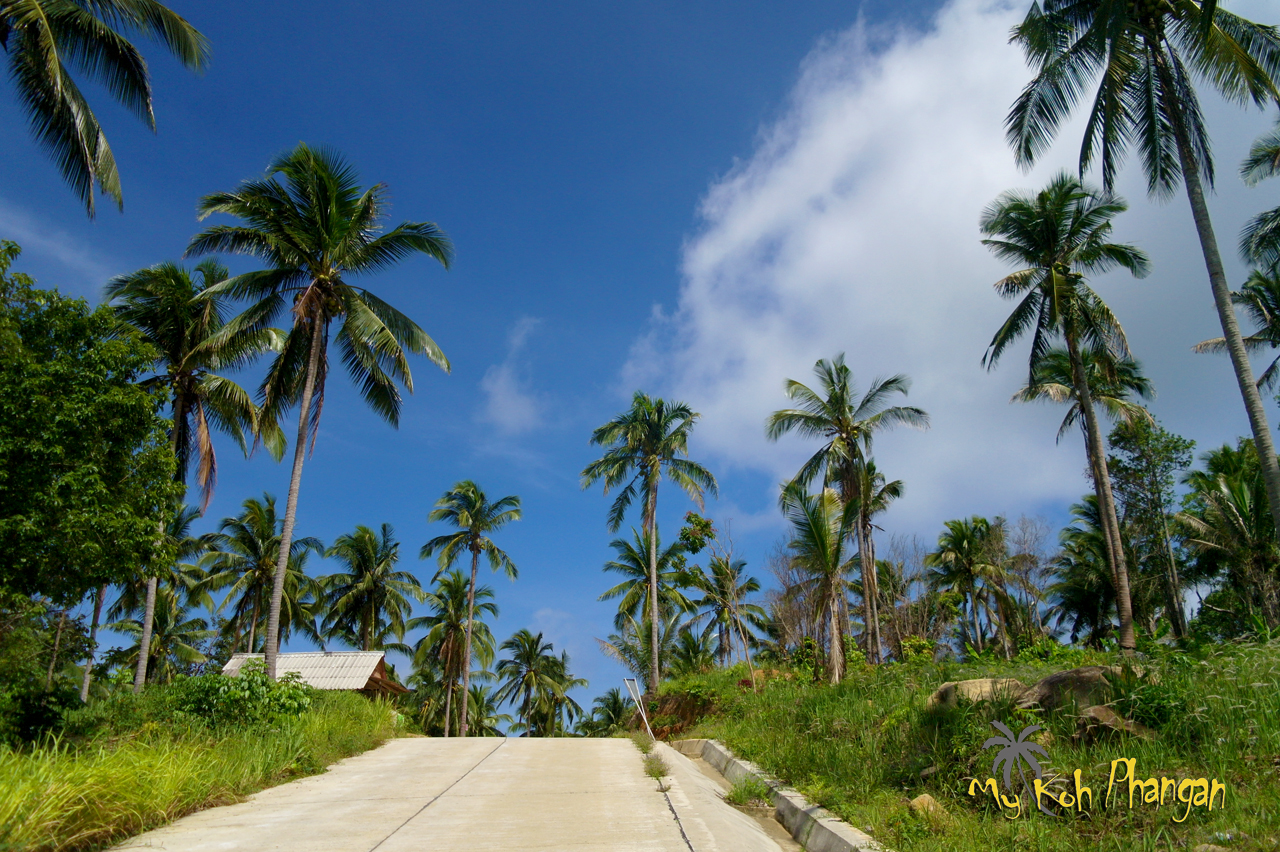 Unterwegs auf Koh Phangan: Roller und Motorrad