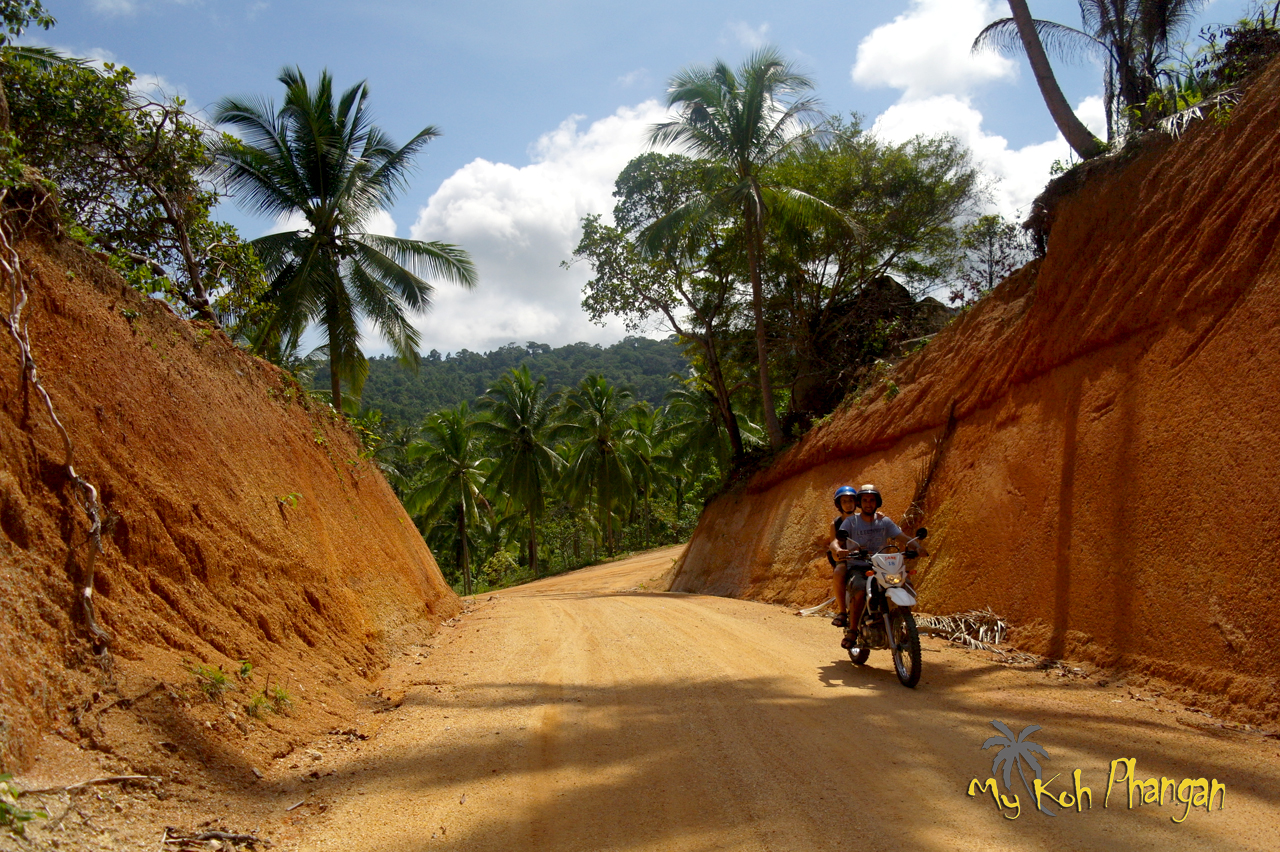 Roller auf Koh Phangan kaufen
