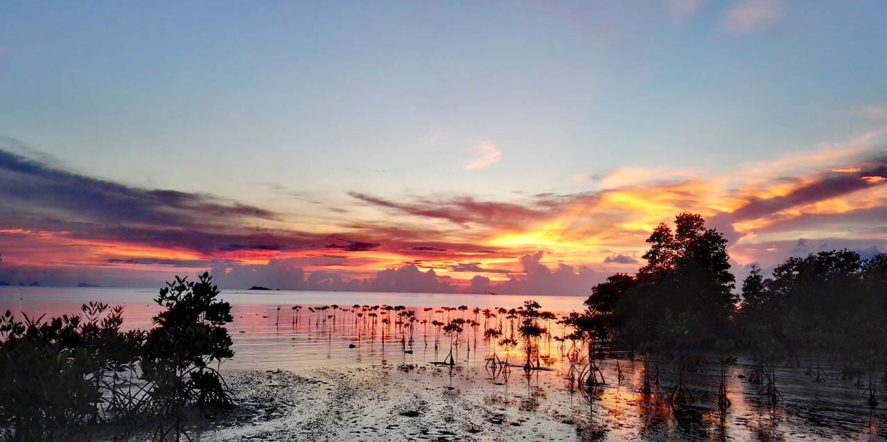 Hin-kong-koh-phangan-sunset-mangroven