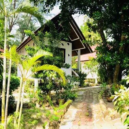 Hotel koh phangan