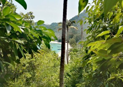 Wanderung-bottle-beach-blick-in-die-bucht