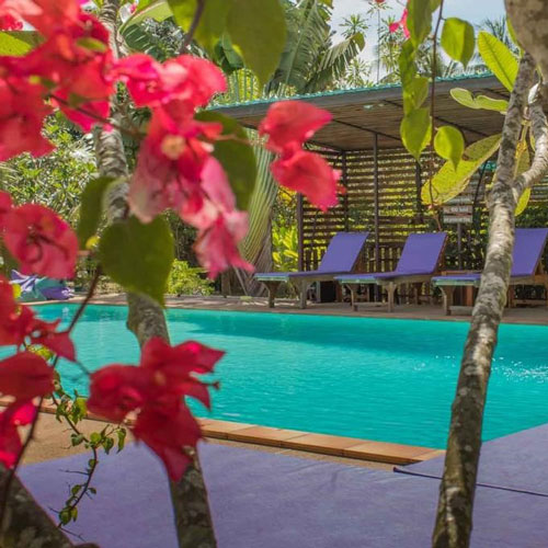 Hotel koh phangan